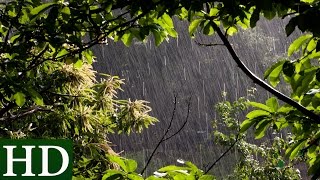 Lluvia HD  Sonido de Lluvia y Sonidos de la Naturaleza  Dormir [upl. by Lennahs]