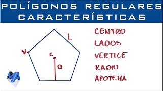 Polígonos regulares  Características y nombres [upl. by Lehcem768]