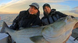 Biggest Striped Bass I’ve Ever Seen [upl. by Dnomrej]