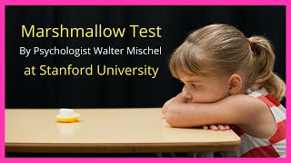 Marshmallow Test  Walter Mischel  Stanford University  Instant Gratification [upl. by Assiroc]