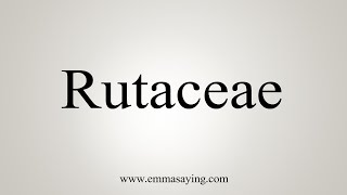 How To Say Rutaceae [upl. by Kerrill470]