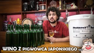 Wino musujące z Pigwowca Japońskiego cz3 Butelkowanie [upl. by Lak]