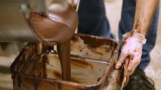 How Chocolate is Made [upl. by Coster599]