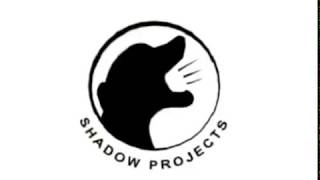 Shadow Project Logo With Effects [upl. by Astto907]