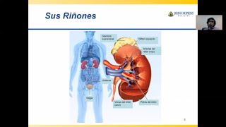 ABC de la enfermedad renal [upl. by Noitna]