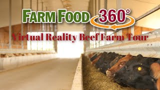 FarmFood360° Virtual Reality Beef Farm Tour [upl. by Llehsim]