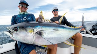 Monster Yellowfin Tuna [upl. by Elsey]