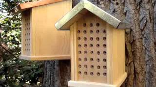 Choosing a Mason Bee House [upl. by Eseela]