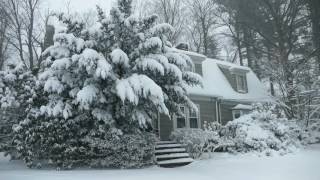 Winter Cabin in a Snowstorm  Falling Snow amp Heavy Winds Blowing  Natural White Noise for Sleep [upl. by Arahd]