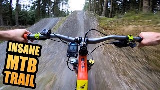 INSANE MTB TRAIL  REVOLUTION BIKE PARK [upl. by Castor931]