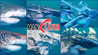 MANEATER ALL SHARKS EVOLUTION including ATOMIC SHARK All Sharks Max Level amp Short Gameplay [upl. by Aruon]