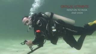 No mask Swim Become a Divemaster or Instructor with wwwgoprocaribbeancom and Coconut Tree Divers [upl. by Novled]