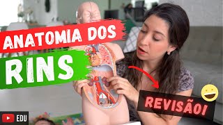 Anatomia dos RINS Revisão [upl. by Kort]