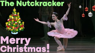 Dance of the Sugar Plum Fairy from The Nutcracker Mariinsky Ballet [upl. by Nnad856]