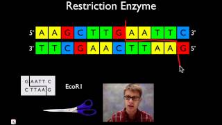 Molecular Biology [upl. by Enale]