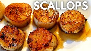 Seared Scallops with Garlic Butter sauce  Simple Recipe in 5 minutes [upl. by Malissa]