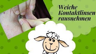 6 Methoden weiche Kontaktlinsen rausnehmen [upl. by Hilda971]