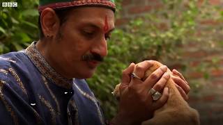 Indias gay prince opens his palace for LGBT community BBC News [upl. by Nylekoorb]